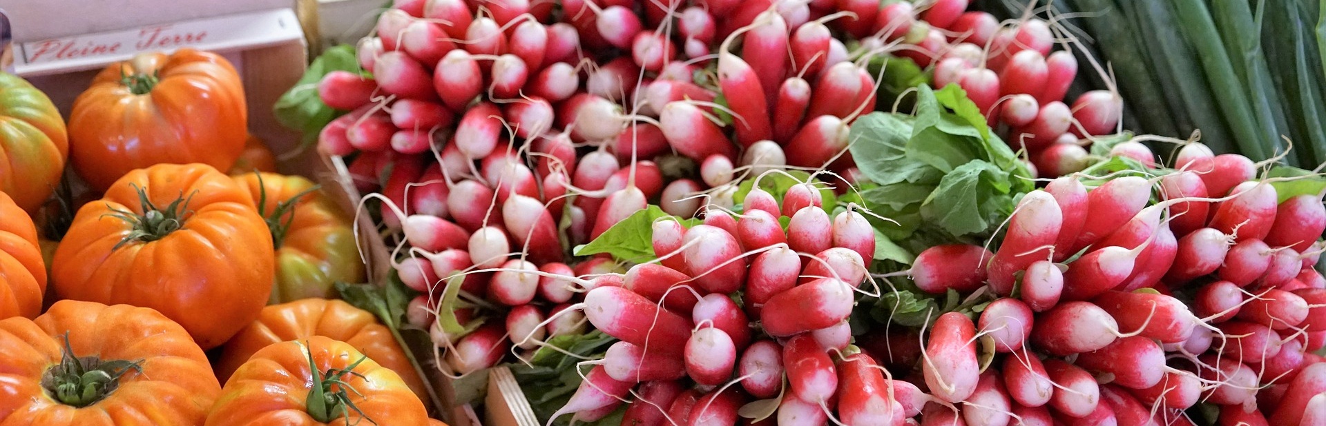 Healthy foods to lose weights